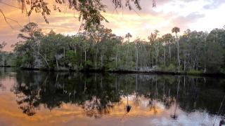 Rustic Cabin Rental Located in St. Marks Wildlife Refuge, Florida - - 2