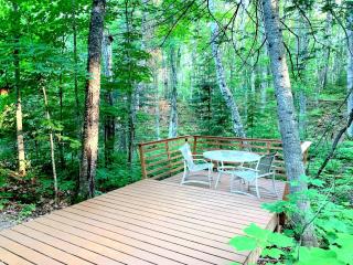 Secluded Waterfront Cabin Rental on Lake Superior near Red Cliff, Wisconsin - Bayfield - 5