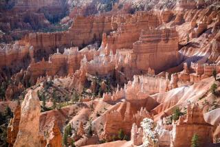 Bryce Canyon Vacation Rental for a Utah Weekend in Nature - Tropic - 1