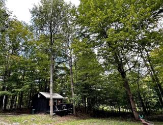 Pet-Friendly Cabin in the Woods, for Pennsylvania Glamping Getaways to Nature - Dushore - 9