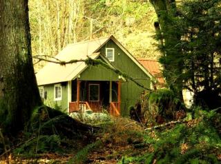 Secluded Cabin Rental near Mount Rainier National Park in Washington - Ashford - 2