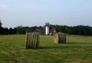 Classic Cottage Rental on Huge Horse and Cattle Farm near Charlottesville - Gordonsville - 8