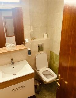 Hotel Moldova - Bîrlad - 5