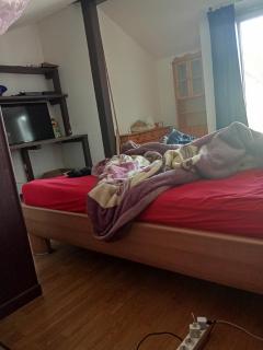 Privat Zimmer in einer Wohnung zu vermieten - Mulhouse - 4