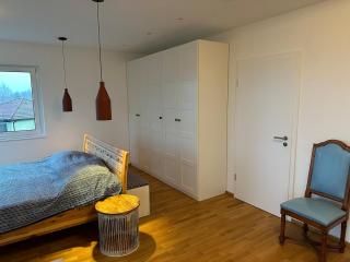 New modern Home - Waldheim - 9