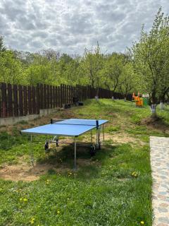 Pensiunea Emelys, Iasi - 4