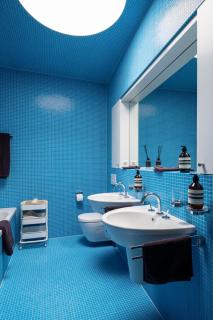 Design Villa near Basel-City, ideal for ESC and Art Basel - Riehen - 4