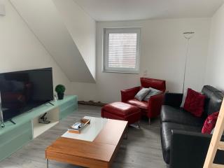 Moderne 3 ZWG mit Südbalkon in Seenähe - Konstanz - 0