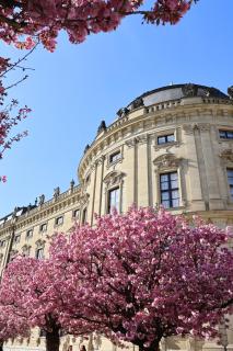 Wohnen im Herzen der Altstadt - Würzburg - 2
