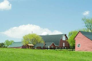 Charming Cottage Overlooking Gorgeous Citation Bass and Bream Pond near Charlottesville - Gordonsville - 5