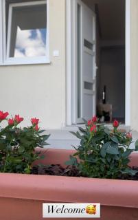 Residency appartment - Danilovgrad - 3