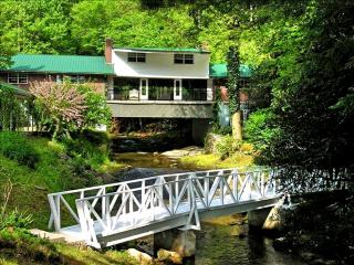 Spectacular and Unique Cabin Rental Built Over a Creek near Elijay, Georgia - Aska - 9