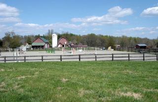 1856 Manor Vacation Rental on Huge Horse and Cattle Farm near Charlottesville, Virginia - Gordonsville - 5