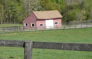 1856 Manor Vacation Rental on Huge Horse and Cattle Farm near Charlottesville, Virginia - Gordonsville - 4