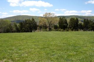 1856 Manor Vacation Rental on Huge Horse and Cattle Farm near Charlottesville, Virginia - Gordonsville - 3