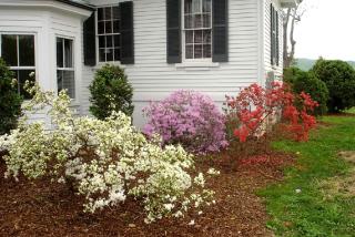 1856 Manor Vacation Rental on Huge Horse and Cattle Farm near Charlottesville, Virginia - Gordonsville - 1