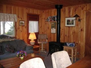 Dog-Friendly Lakeside Cabin Rental with Private Beach in Brownfield, Maine - Brownfield - 4