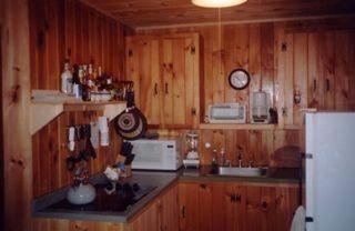 Dog-Friendly Lakeside Cabin Rental with Private Beach in Brownfield, Maine - Brownfield - 3