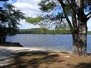 Dog-Friendly Lakeside Cabin Rental with Private Beach in Brownfield, Maine - Brownfield - 1