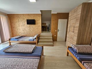 Apartments Nikolić - Soko Banja - 4