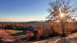 Sublime Vacation Rental for Unforgettable Family or Group Vacations in Dobson, North Carolina - Dobson - 4