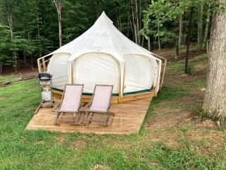 Gorgeous Virginia Retreat on a Farm with Spectacular Views - 6