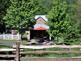 Charming Mountain Cabin on Idyllic Farmland near West Jefferson, North Carolina - Jefferson - 8
