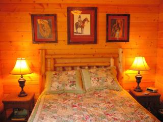 Lovely Lakeside Suite Rental on Eco-Friendly Ranch near Lincoln, Nebraska - - 2