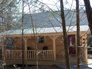 Woodland Cabin Rental near High Bridge Trail State Park in Prince Edward County, Virginia - Farmville - 9