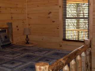 Woodland Cabin Rental near High Bridge Trail State Park in Prince Edward County, Virginia - Farmville - 1