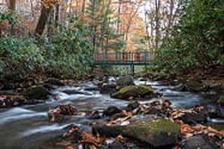 Historic Mountain Cottage Rental with Classic and Modern Features in Somerset, Pennsylvania - Champion - 2