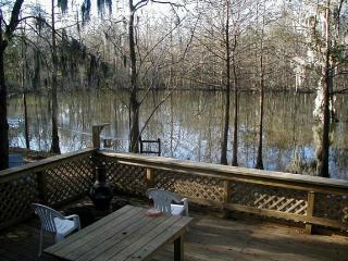 Peaceful Waterfront Cabin Rental in Woodlands of Cleveland, Texas - Cleveland - 9