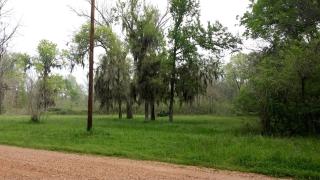 Peaceful Waterfront Cabin Rental in Woodlands of Cleveland, Texas - Cleveland - 8