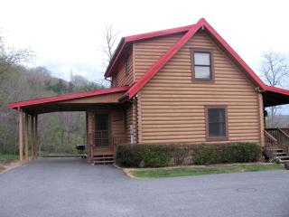 Secluded Pet-Friendly Log Cabin near Asheville, North Carolina - Cullowhee - 0