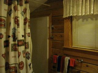 Secluded Pet-Friendly Log Cabin near Asheville, North Carolina - Cullowhee - 2