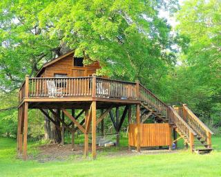 Rustic Tree House near Big Creek in the Heart of the Missouri Ozarks - - 0