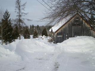Rustic Family-Friendly Cabin Rental with Full Kitchen in the Northeast Kingdom of Vermont - - 4