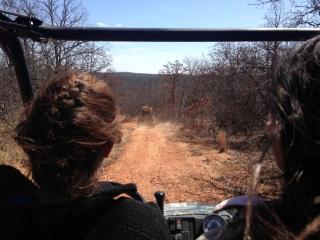 Spacious and Secluded Luxury Rental Overlooking a Glittering Private Lake in Konawa, Oklahoma - 2