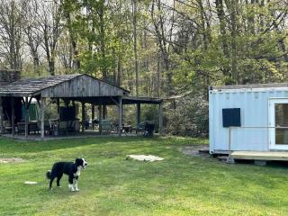 Friendsville Renovated Container Rental, for True Glamping Experiences in Maryland - Friendsville - 1