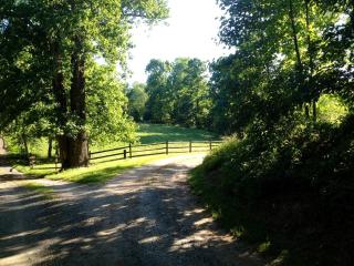 Charming Vacation Rental in a Barn on a Horse Farm near Afton Mountain in Virginia - Afton - 0