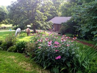 Charming Vacation Rental in a Barn on a Horse Farm near Afton Mountain in Virginia - Afton - 2