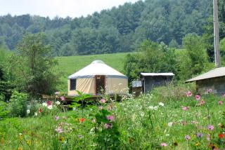 Magical Marshall Accommodation Ideal for a Peaceful Getaway in North Carolina - 8
