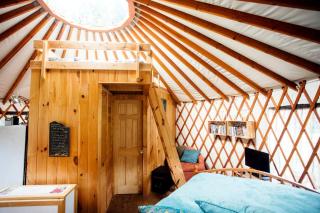 Magical Marshall Accommodation Ideal for a Peaceful Getaway in North Carolina - 4