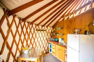 Magical Marshall Accommodation Ideal for a Peaceful Getaway in North Carolina - 3