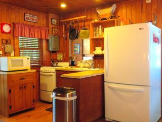 Lakefront Weekend Getaway with a Private Dock near the Ocala National Forest, Florida - Orange Springs - 1