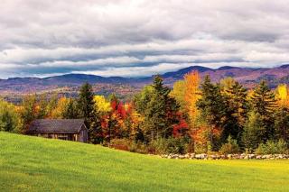 Homey Cabin Rentals Nestled in Nature along Kennebec River, Maine - Bingham - 8