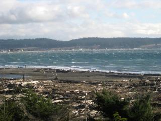 Glorious Whidbey Island Accommodation on Double Bluff Beach - Freeland - 8