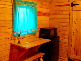 Rustic Cabin Retreat near Muskegon, Michigan - Rothbury - 3