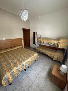 Hotel Zeus - Lido di Classe - 6