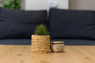 Fata morgana Hostel - 4